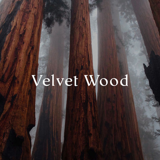 Cereria Molla Φυτικό Αρωματικό Κερί Premium Velvet Wood 5540 230gr Cereria Molla Φυτικό Αρωματικό Κερί Premium Velvet Wood 5540 230gr