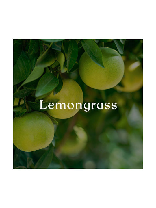 Cereria Molla Ανταλλακτικό Premium Diffuser Tea Lemongrass 1344 200ml