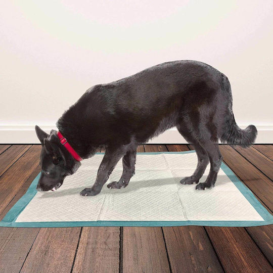 Easypet Scutece de Podea pentru Animale de Companie – M – 60x60cm – 30 Bucăți X 6