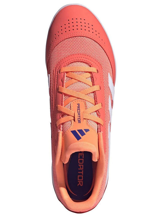 adidas Predator Club Ποδοσφαιρικά Παπούτσια Σάλας IN adidas Predator Club Ποδοσφαιρικά Παπούτσια Σάλας IN