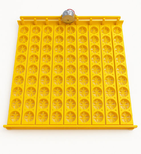 Multifunctional Egg Rack 63 Positions Dimension 55x55x4 Argostrofo Motor Without Thermostat-controller Direct Connection 220v-240v
