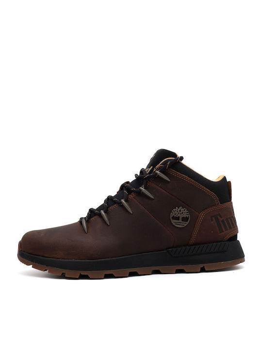 Timberland Sprint Trekker Încălțăminte de Drumeție Bărbați Botine Maro