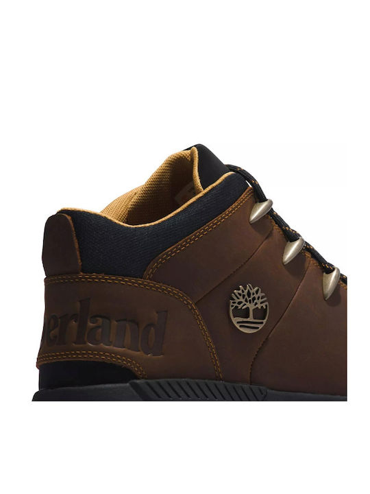 Timberland Sprint Trekker Încălțăminte de Drumeție Bărbați Botine Maro
