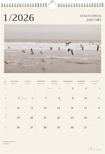 Calendar 2026 De Perete Lunar 25x35