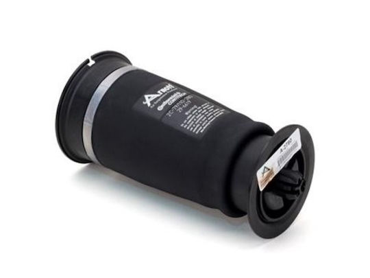 Pernă de suspensie pneumatică Arnott Europe