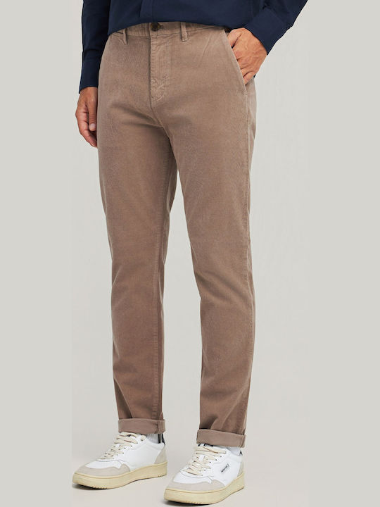 Trousers Chino in Regular Fit Brown
