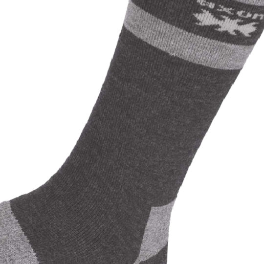 Κάλτσες Axon Isotherm Grey