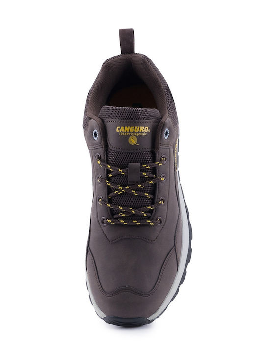 Anatomical Sneakers Coffee