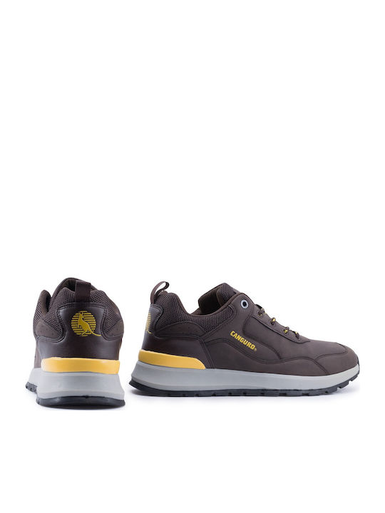 Anatomical Sneakers Coffee