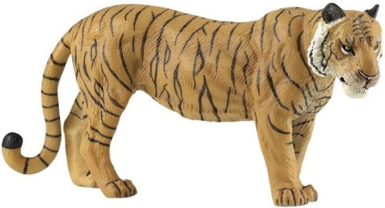 Jad Flamande Tiger for 3+ Years
