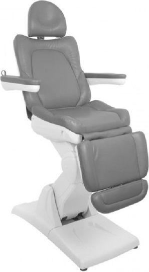 Beauty Chair Gray with Adjustable Height and Electric Lifting