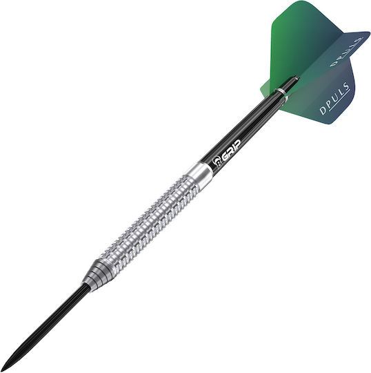 Darts Dpuls Hausi von Marcel Hausotter 23gr Version 2025