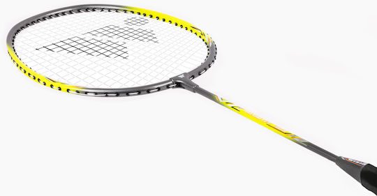 Wish Badminton Racket
