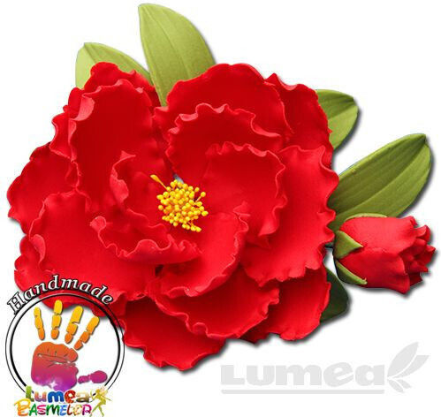 Lumea Продукти за кондиторство Пластмаса FS1206-02 240pcs