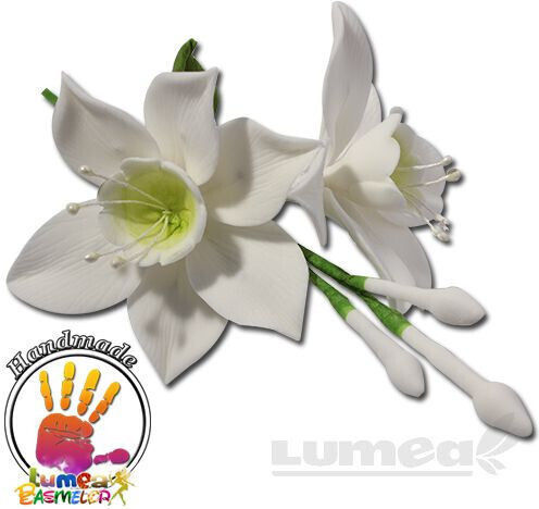 Lumea Продукти за кондиторство Пластмаса FS1206-16 240pcs