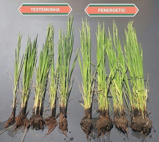 Hellafarm Βιολογικό Λίπασμα 2.5kg