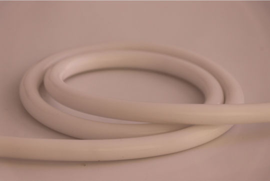 Universe Αδιάβροχη Ταινία LED 24V Φυσικό Λευκό Φως 5m Neon Flex