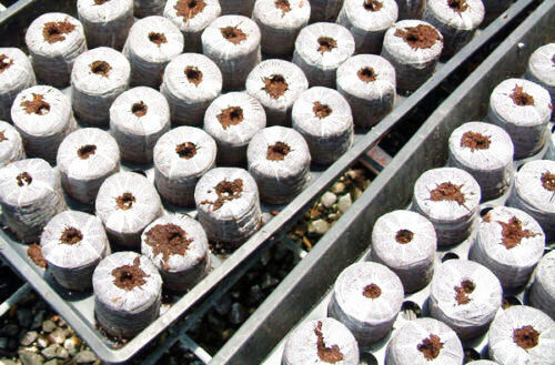 Дискове За Засаждане Jiffy Pellets 10 Броя 41x42мм