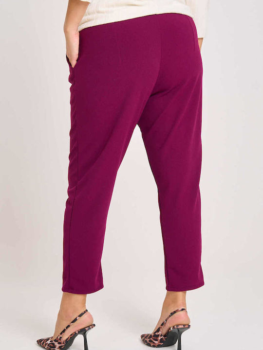 Women's Fabric Trousers with Elastic Carrot Fit Purple