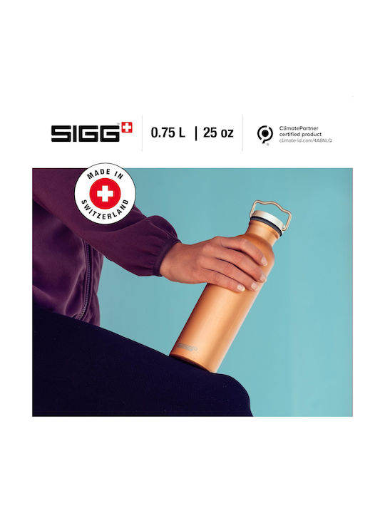 Sigg Original Wasserflasche Aluminium 750ml Braun
