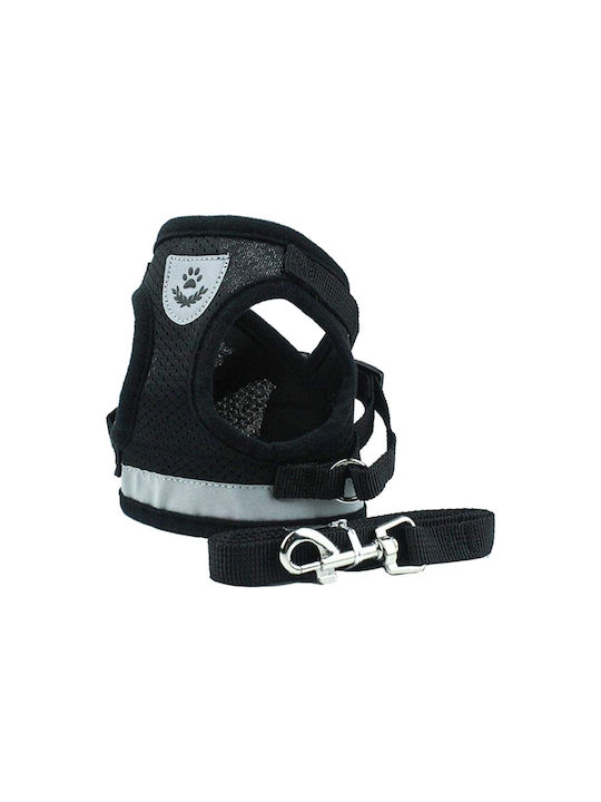Hundegeschirr Schwarz Klein
