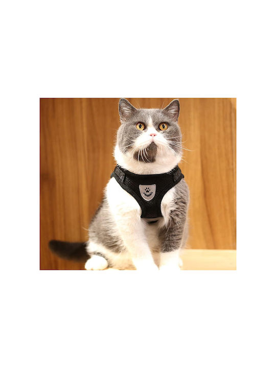 Hundegeschirr Schwarz Klein