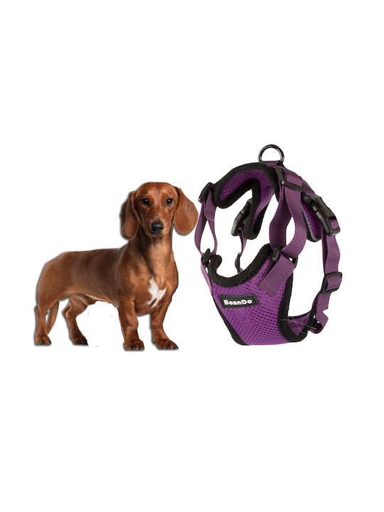 Hundegeschirr Schwarz 19343_M