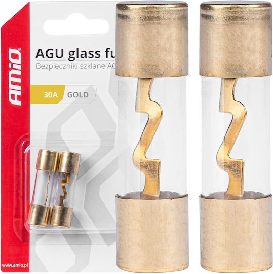 Set 2 Agu Glas Sicherungen Goldbeschichtete Kontakte 30a