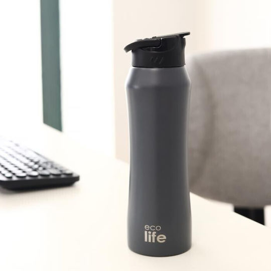 Ecolife Recyclable Bottle Thermos Stainless Steel / Plastic BPA Free 550ml Gray with Straw