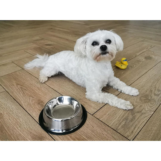 Alista Home Bol Mâncare pentru Câine & Pisică 22cm