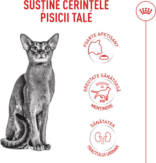 Royal Canin Exigent Ξηρά Τροφή Γάτας 10kg