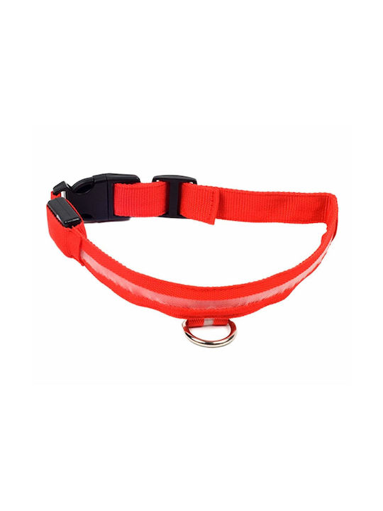 Led Rotes Beleuchtetes Hundehalsband Avx-ag232r Led Rotes Beleuchtetes Hundehalsband Avx-ag232r