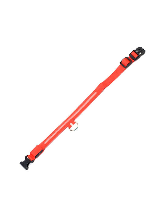 Led Red Illuminated Collar Dog Cat Avx-ag232r