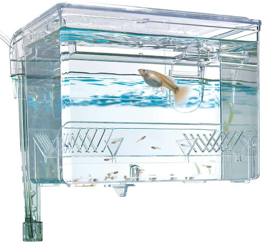 Fluval Hang-On Breeding Tank M 1.2L Capacity Fish Aquarium