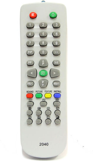Small 2040 Remote Control Vestel