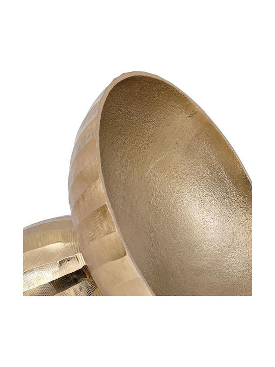 Fylliana 947225 Fylliana 947225