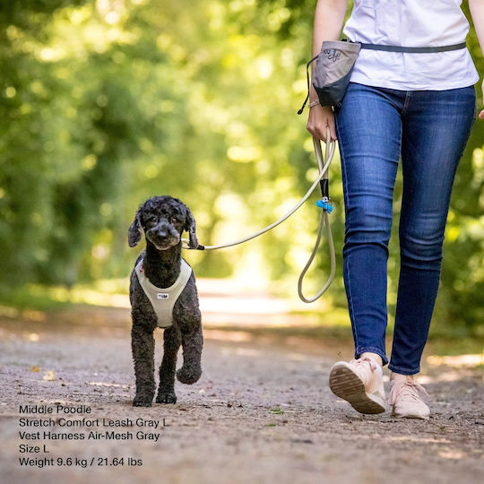 Curli Hundeleine/Führleine Riemen Stretch Comfort Leash in Gelb Farbe
