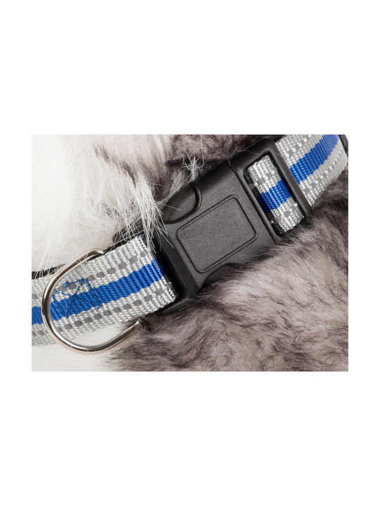 Hundehalsband in Orange Farbe 20cm