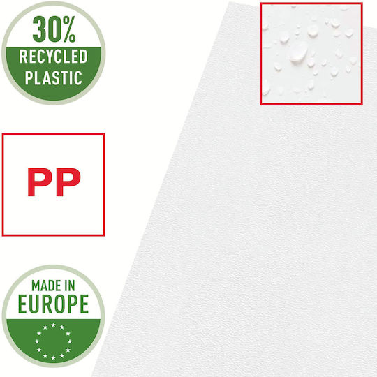 Esselte Mappe für Papier A4 Transparent 1Stück