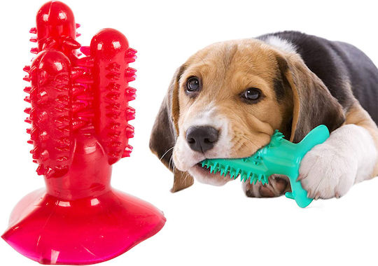 Dog Toothbrush Chew Cactus Shape Synthetic Rubber 6.5cm Red