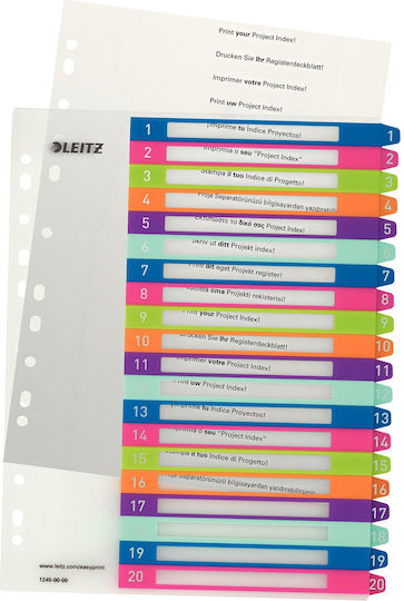 Leitz Plastic Divider for for Cards A4