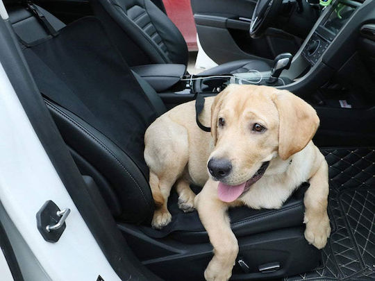 Husă De Scaun Auto Impermeabilă Pentru Câine Neagră