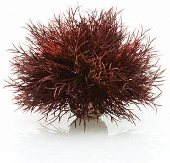 Oase biOrb Sea Lily Crimson Πλαστικά Φυτά Ενυδρείου