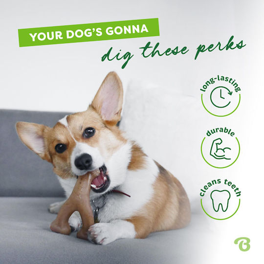 Benebone Os pentru câini cu Gust de Pui Medium 18buc