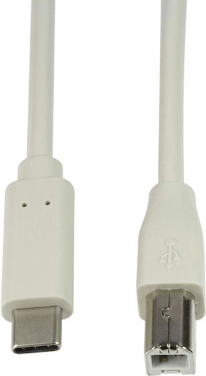 LogiLink USB 2.0 Cable USB-C male - USB-B Λευκό 2m CU0161