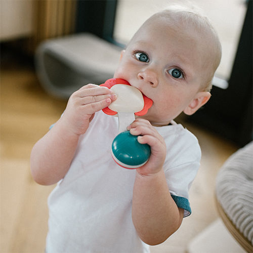 Babyono Rattle for 3++ Months