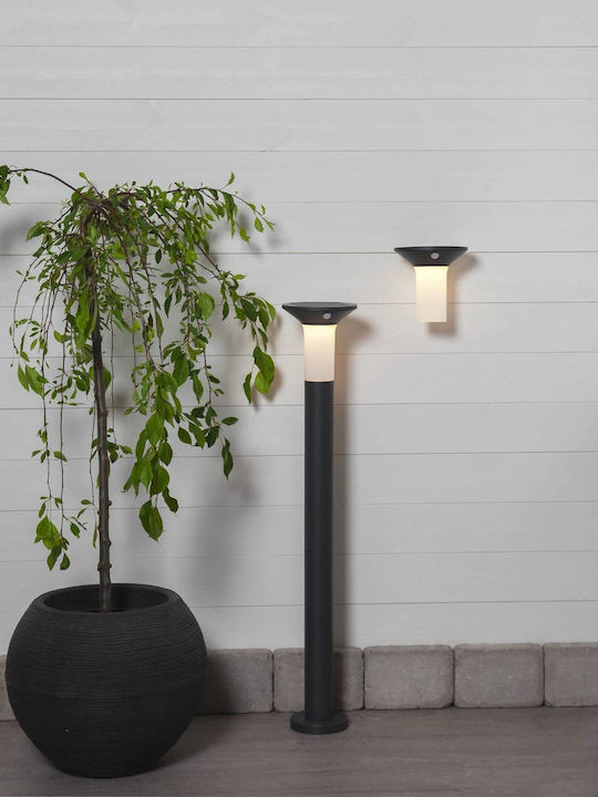 Eglo Corbezzola Стенен Външен Плафон LED IP44 с Топло бяло Светлина 16x16εκ.