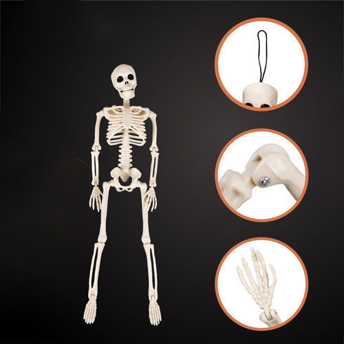 Halloween Skeleton Decoration Zola 40 Cm Hanger Abs White