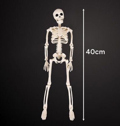Halloween Skeleton Decoration Zola 40 Cm Hanger Abs White