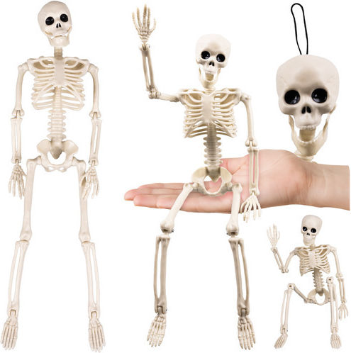 Halloween Skeleton Decoration Zola 40 Cm Hanger Abs White